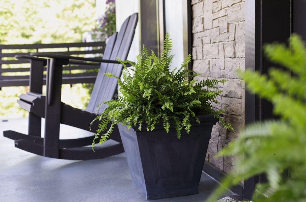 Power Washing Prep: Tips for Protecting Your Plants and Windows